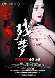 残梦电影在线观看,穿越时空的奇幻之旅  第3张